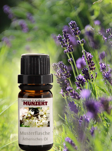 Ätherisches Öl Lavendel von Gewürzversand Munzert